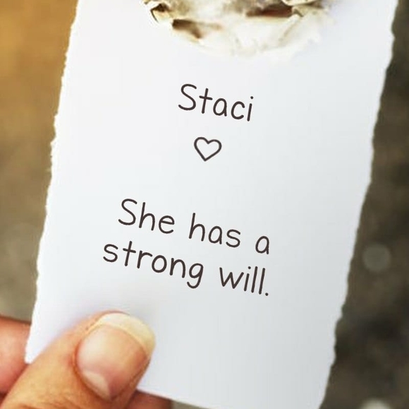 stacisukel
